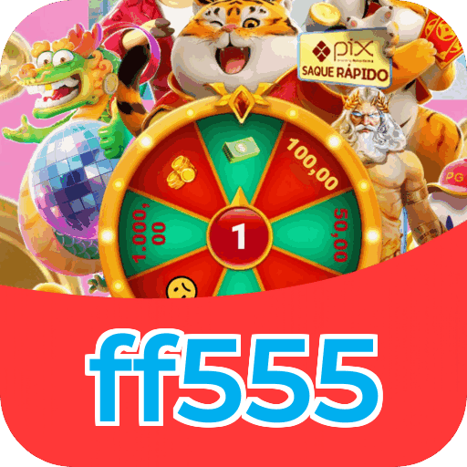 Interface ff555